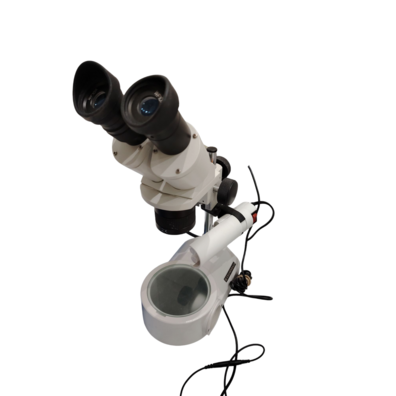 MICROSCOPIO
