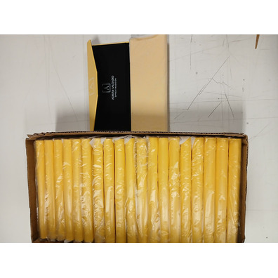 Estuche amarillo adrian salgado